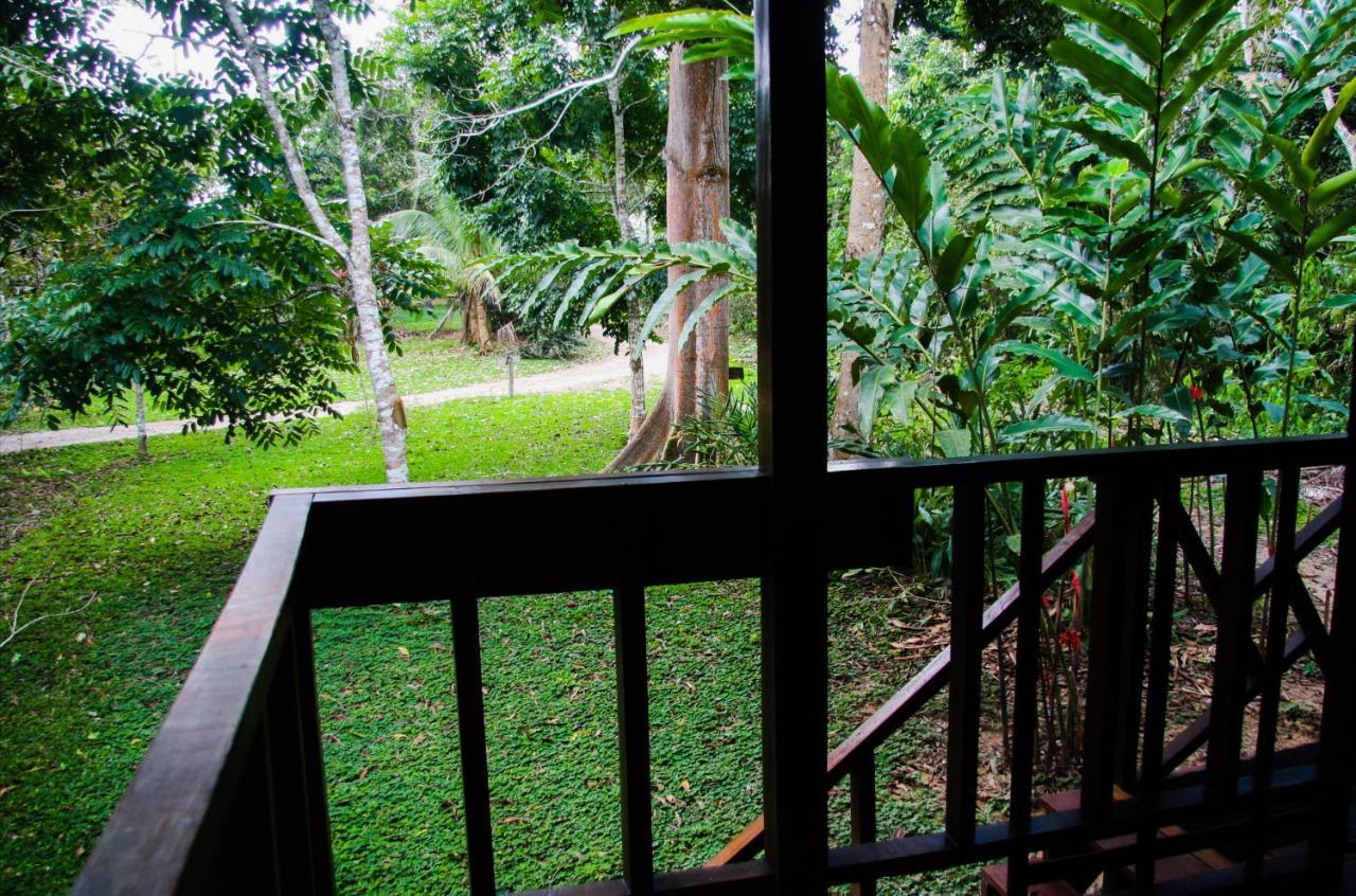 Passiflora Lodge Tambopata 马尔多纳多港 客房 照片