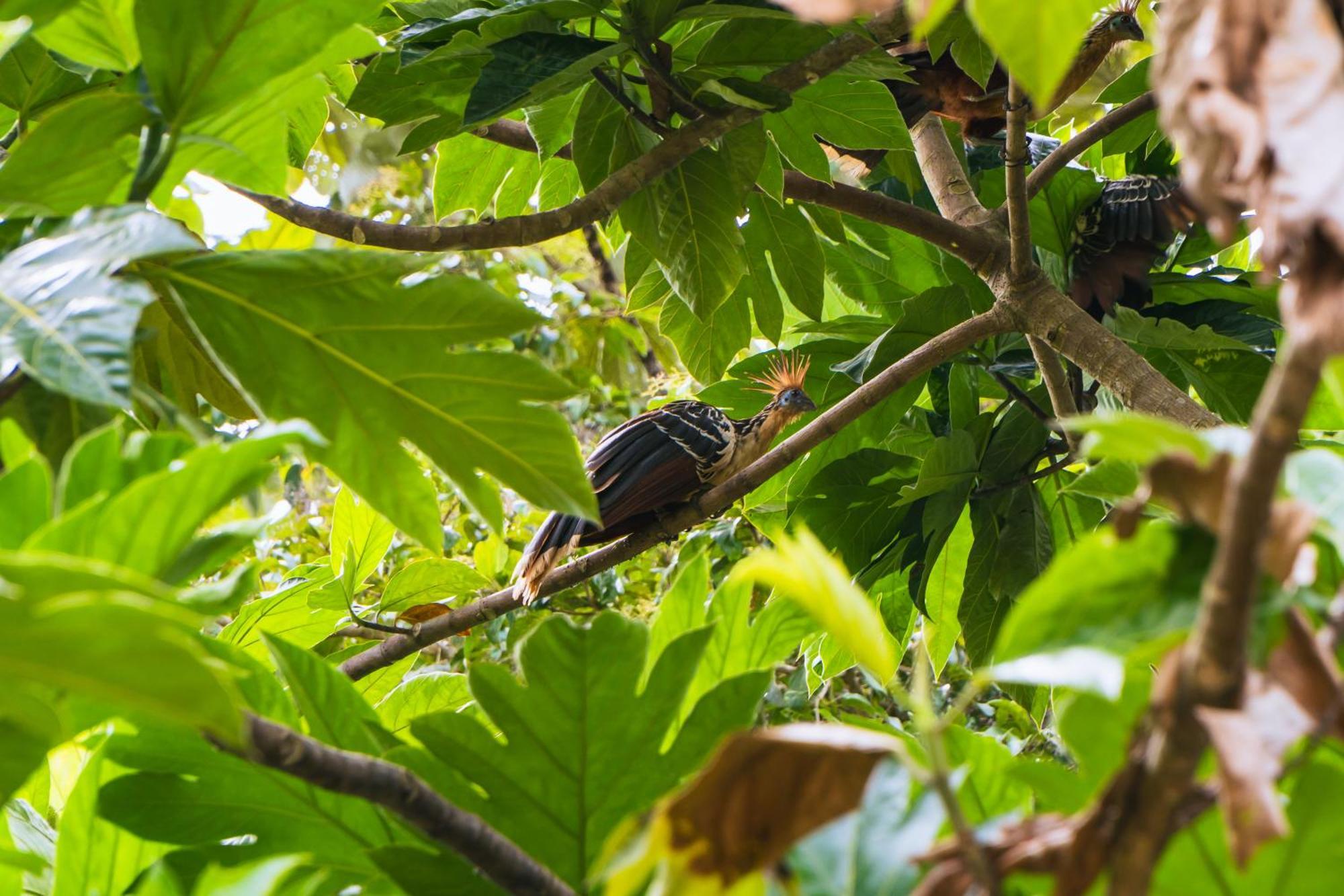 Passiflora Lodge Tambopata 马尔多纳多港 外观 照片