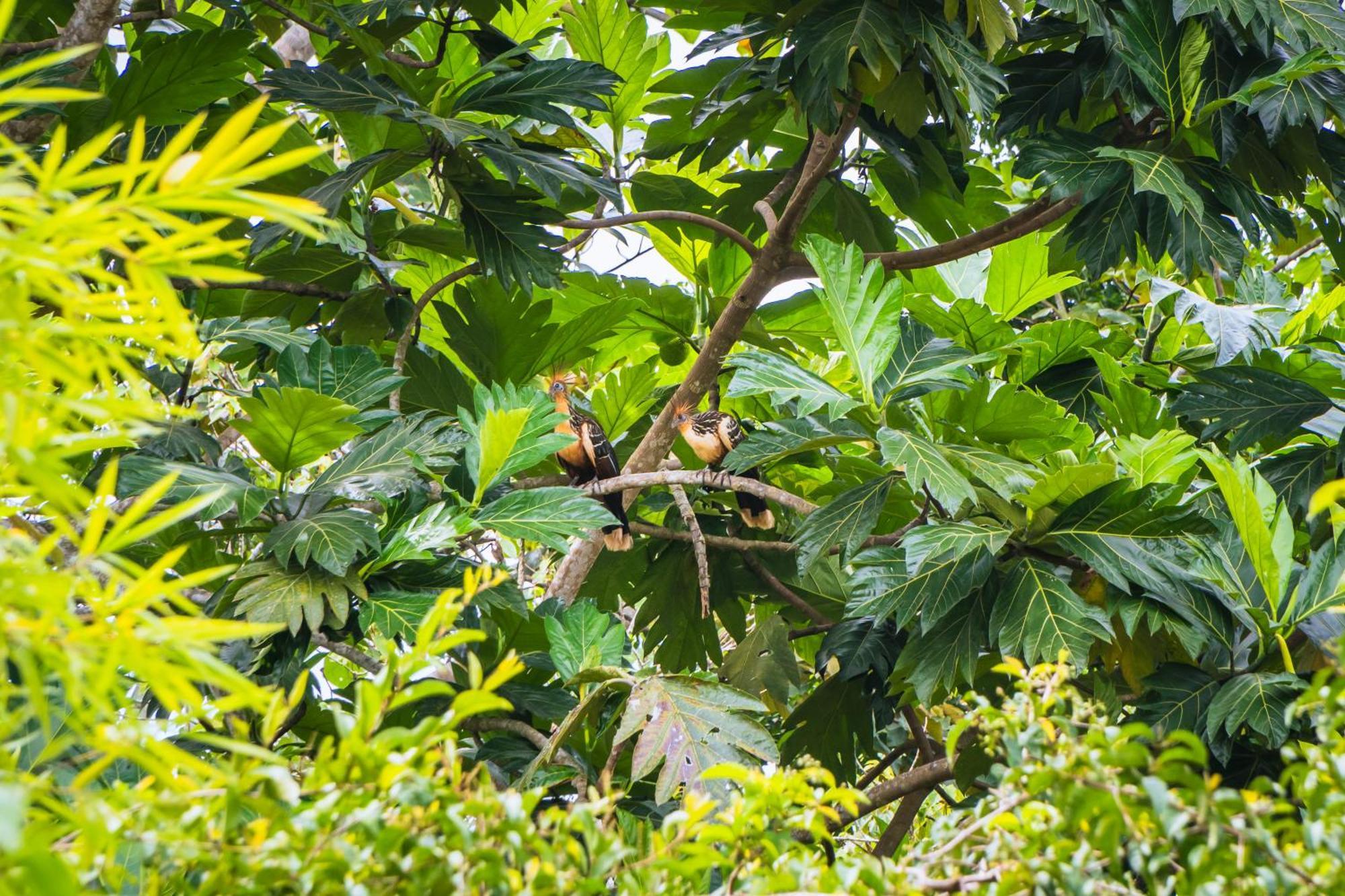 Passiflora Lodge Tambopata 马尔多纳多港 外观 照片