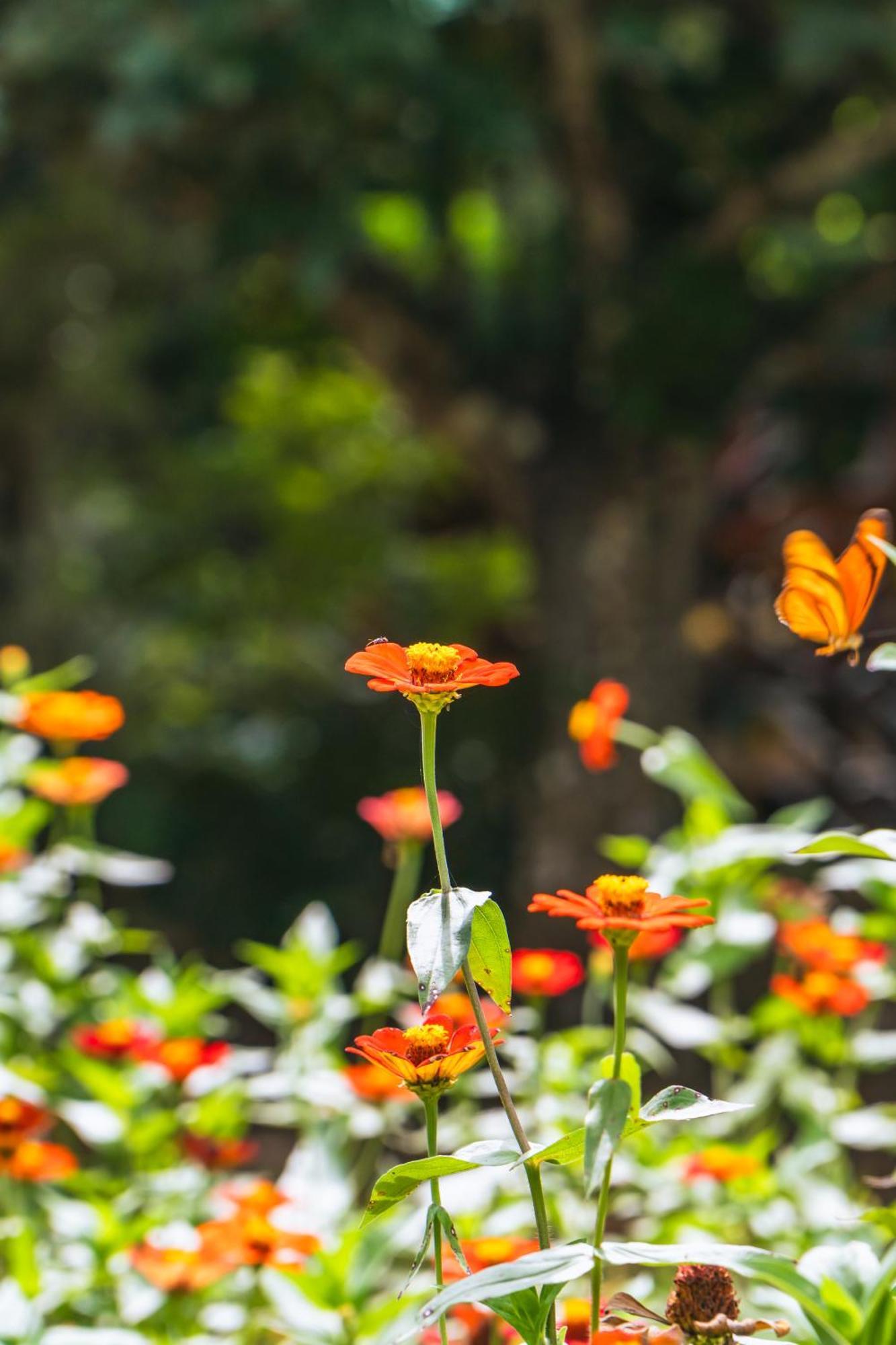 Passiflora Lodge Tambopata 马尔多纳多港 客房 照片